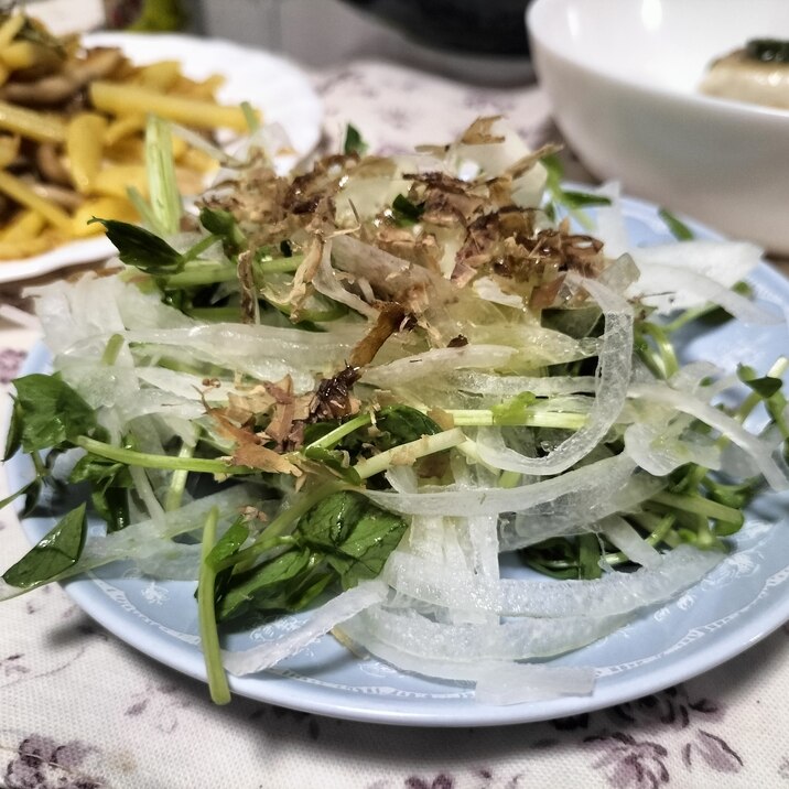 豆苗と玉ねぎの簡単サラダ